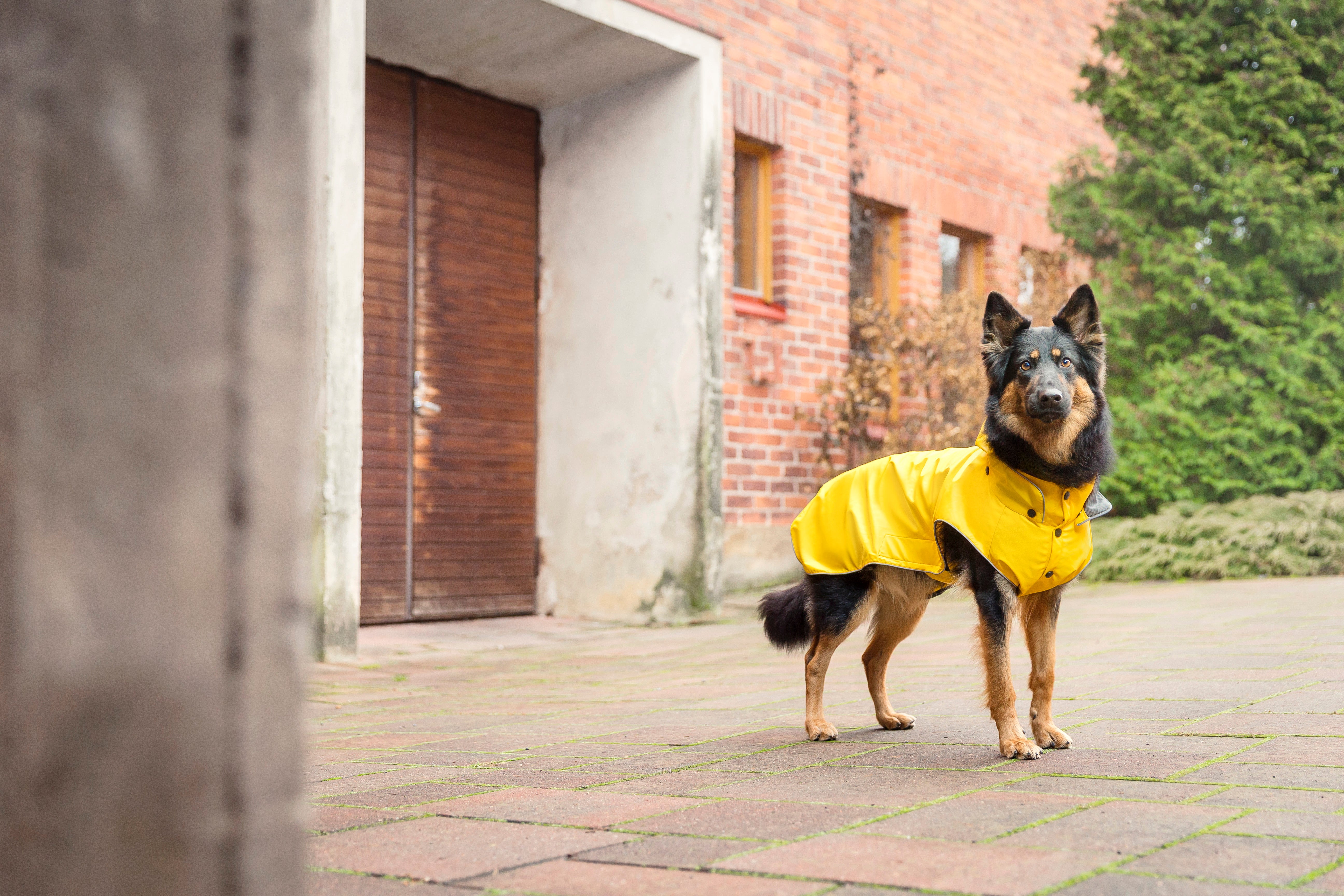 Second Product Image for Stream Raincoat