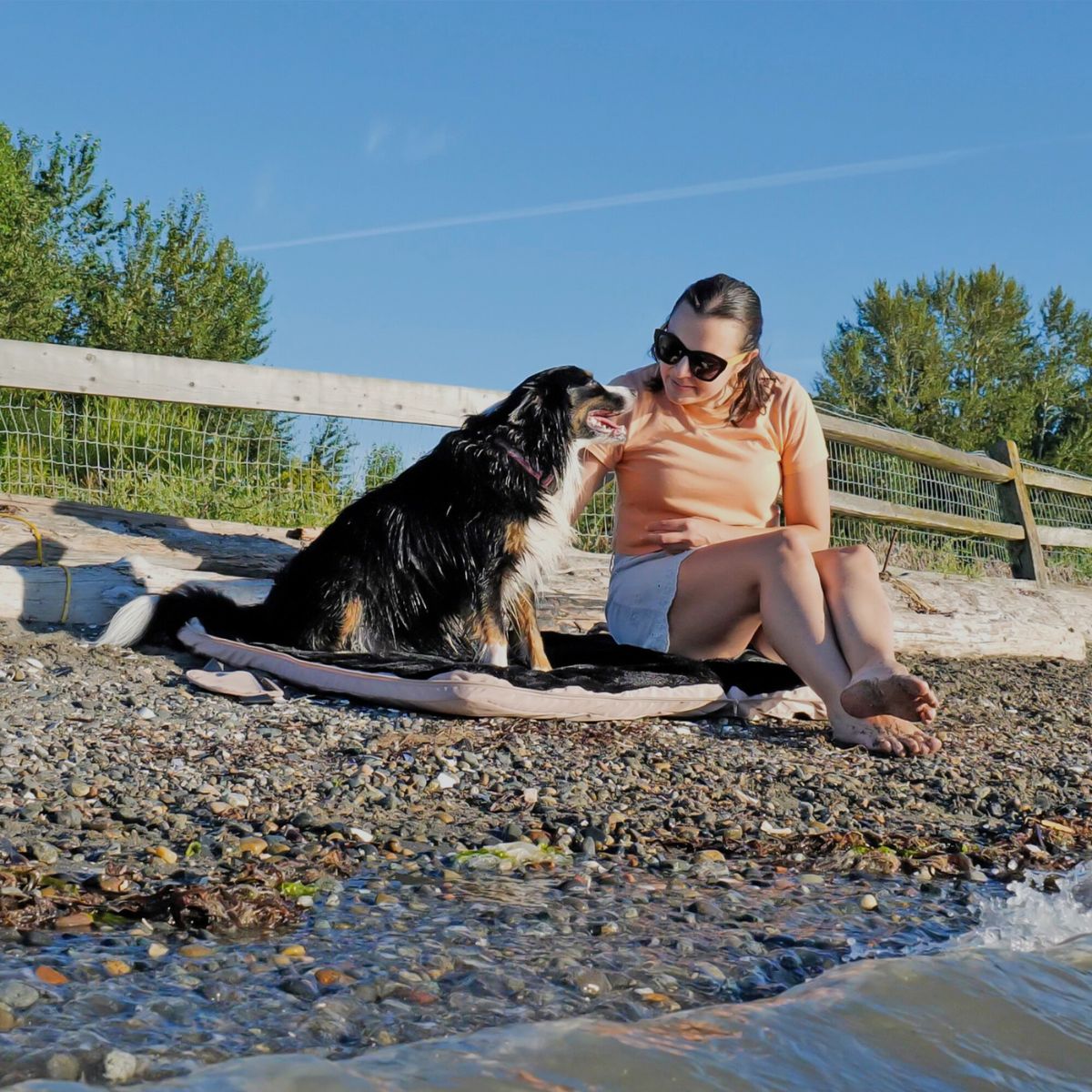 Second Product Image for Gus Travel Pet Bed