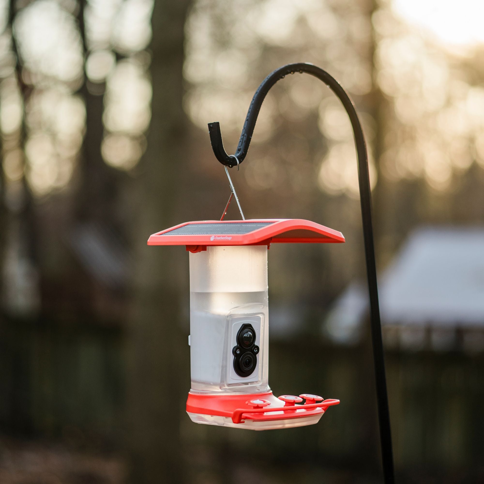 FeatherSnap Feeder Bundle - Seed + Hummingbird