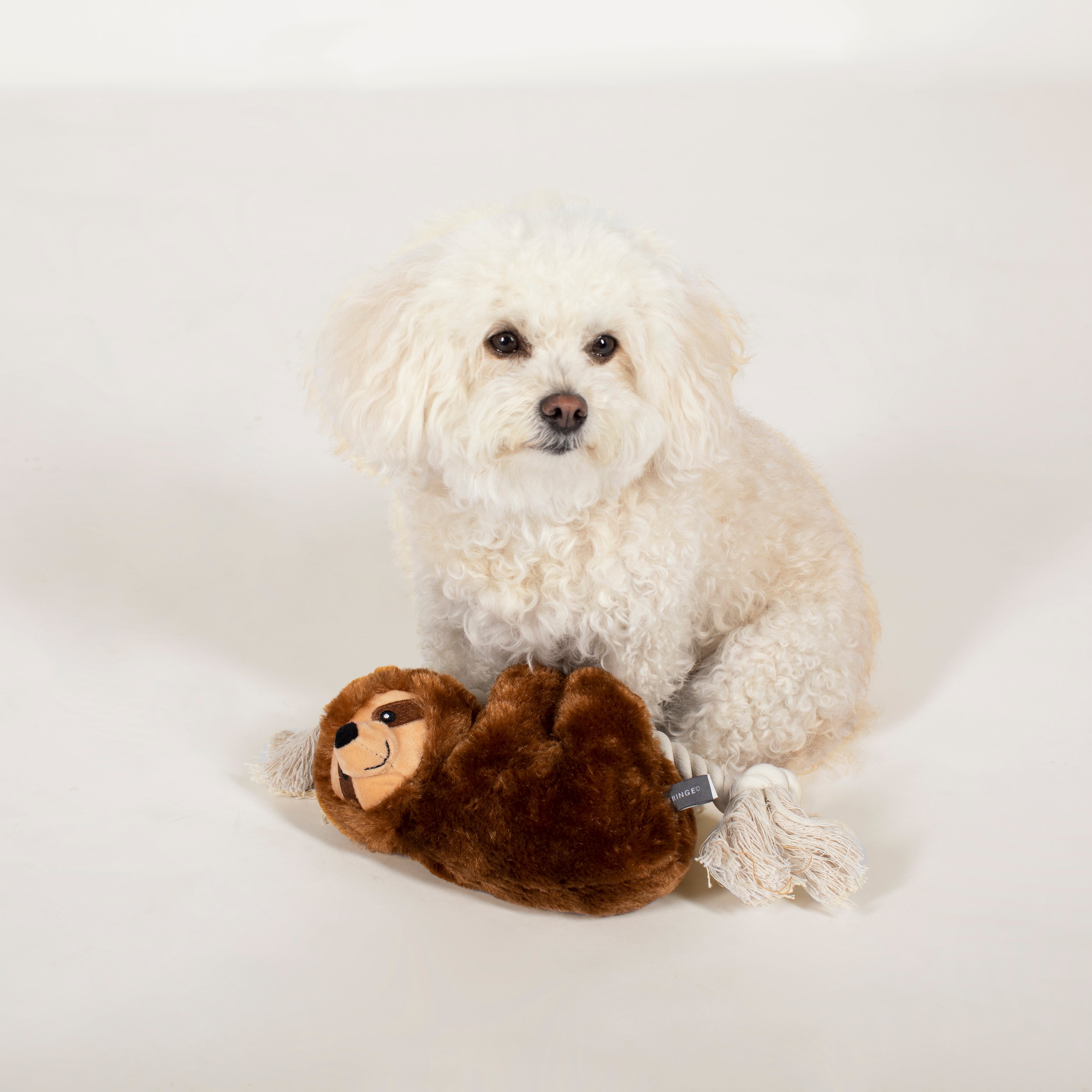 Best Sellers Dog 3-Toy Gift Set