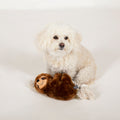 Best Sellers Dog 3-Toy Gift Set