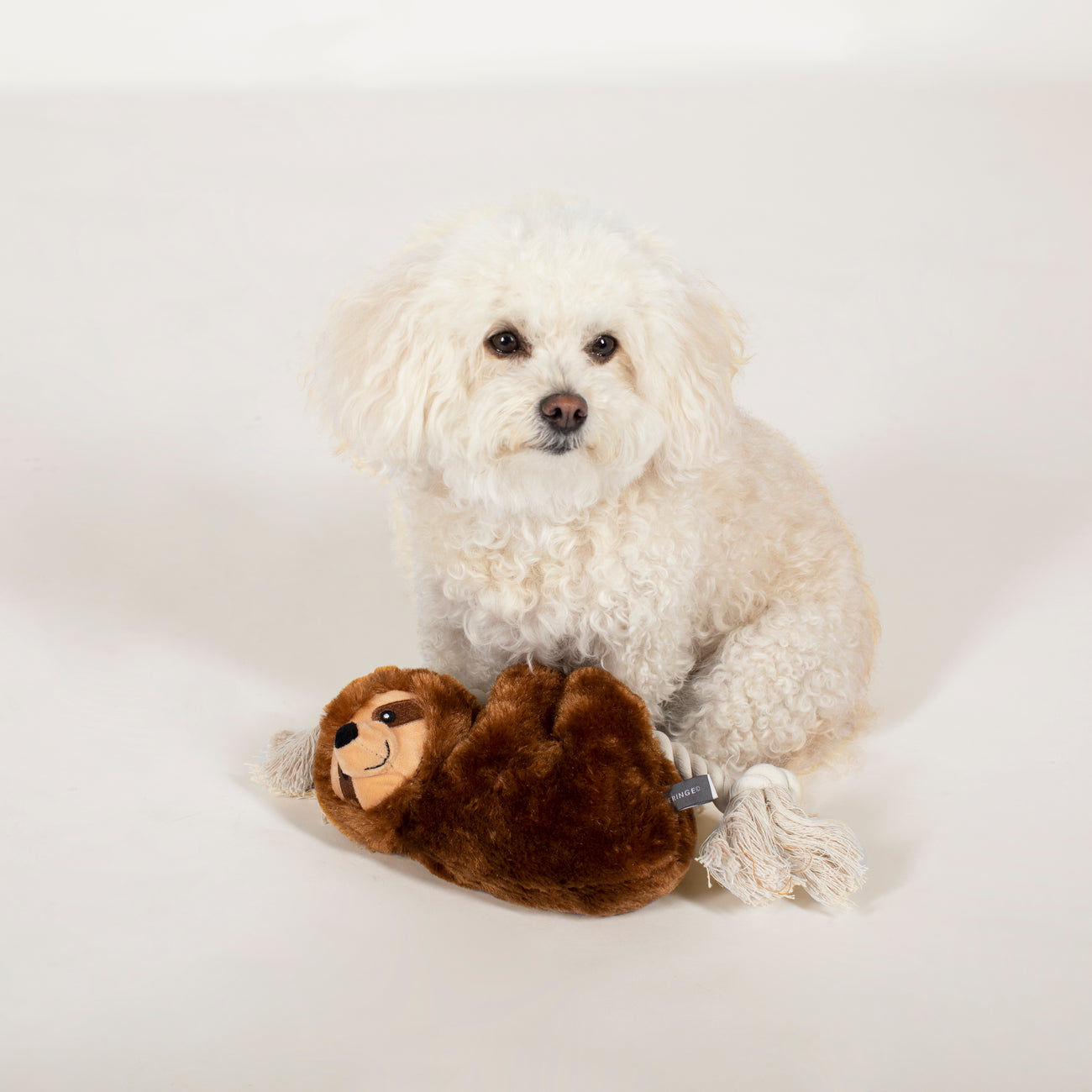 Best Sellers Dog 3-Toy Gift Set