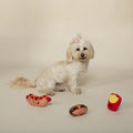 Food Junkie Small Dog 9-Toy Play Set