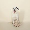 Best Sellers Dog 3-Toy Gift Set