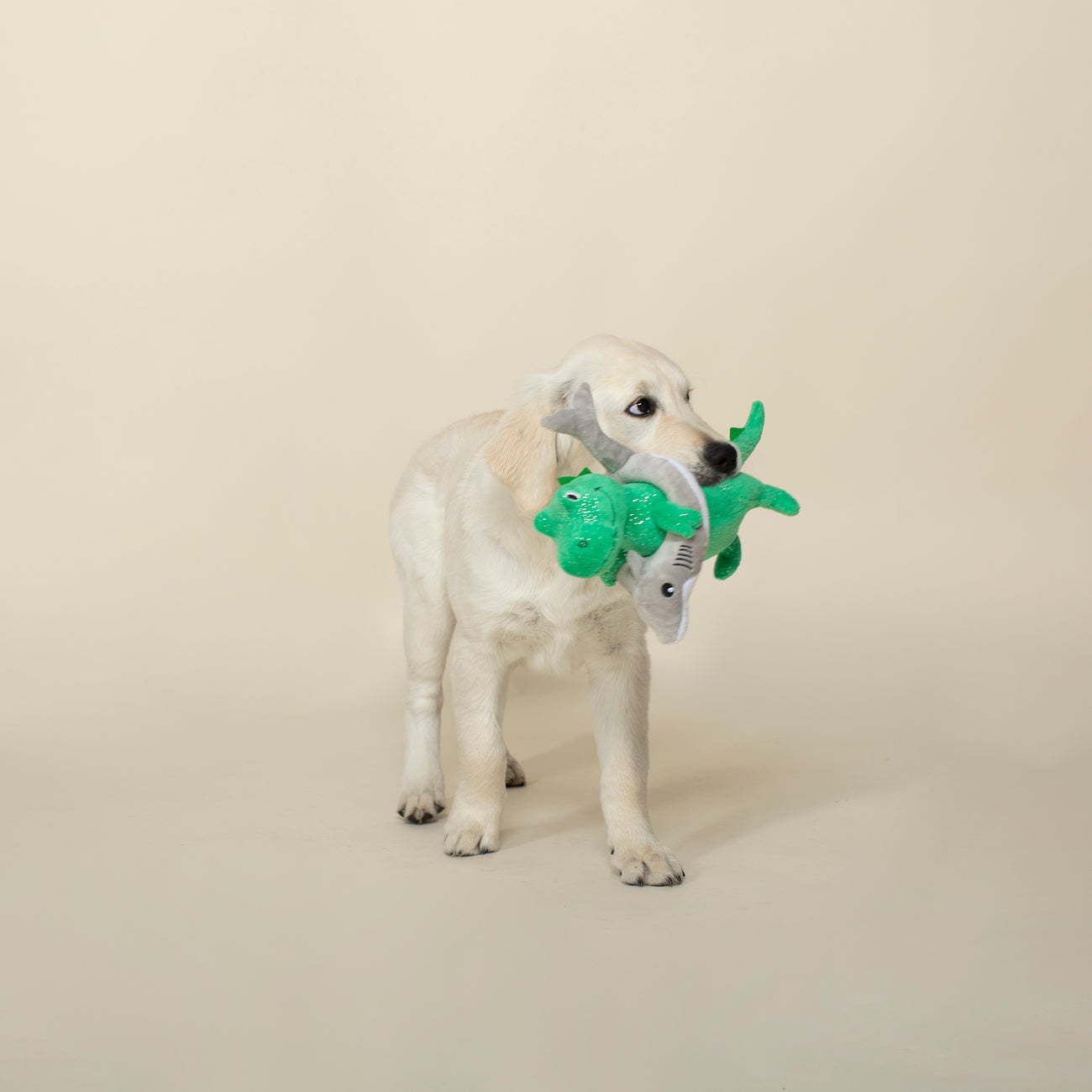 Best of the Rex's Dog Toy 2-Pack
