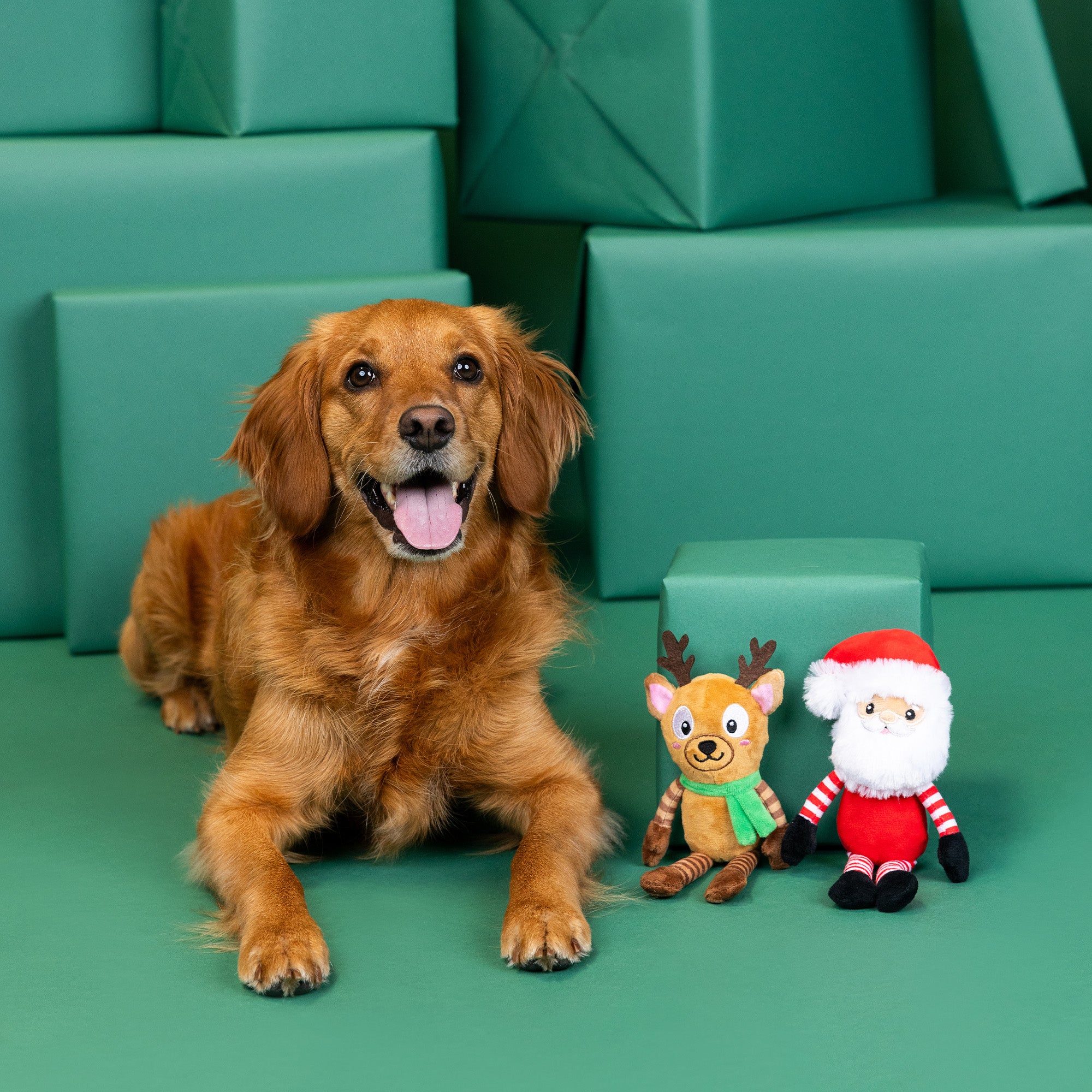 Furry Little Christmas Pals Dog Toy 8-Pack