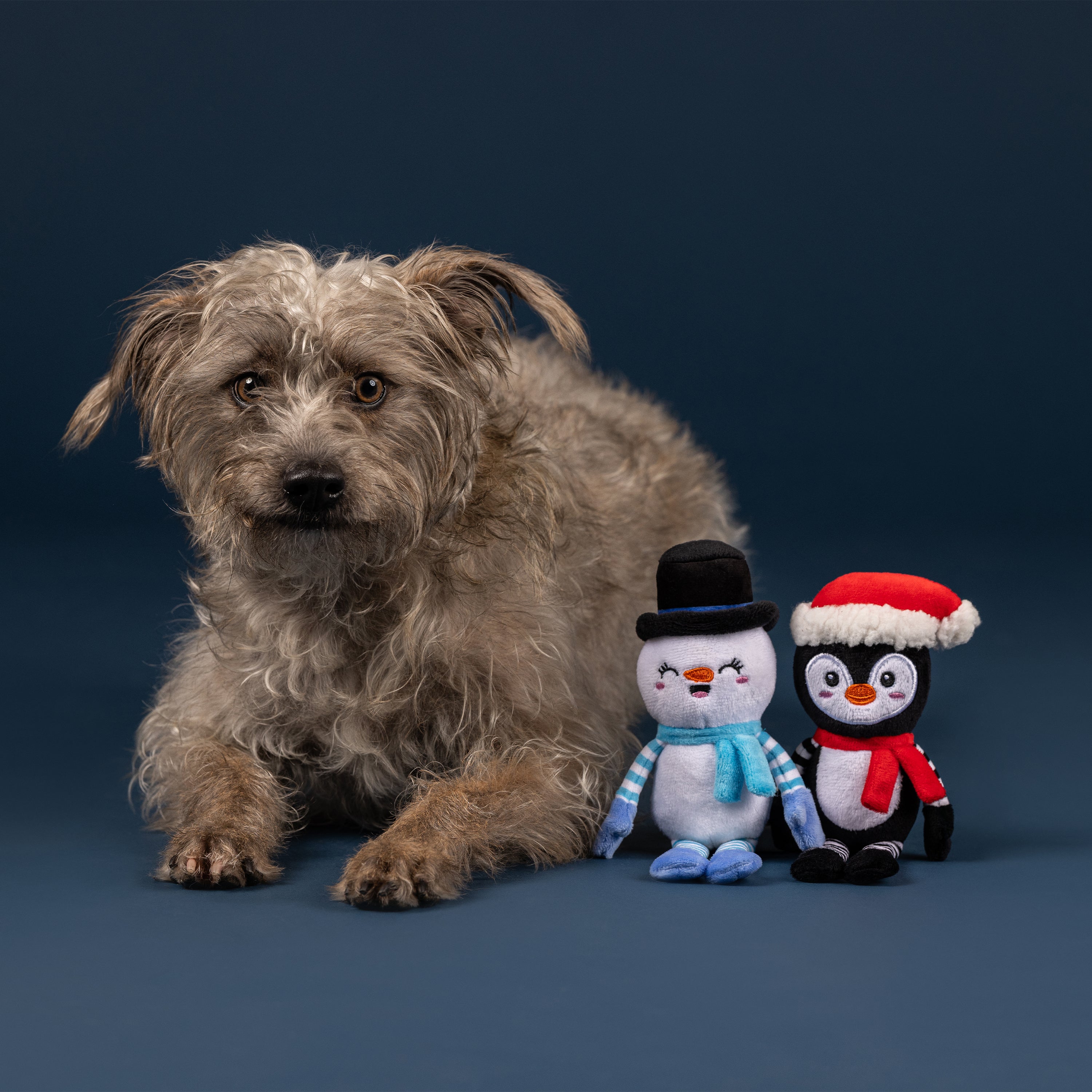 Frosty Friends Mini Winter Dog Toys 8-Pack