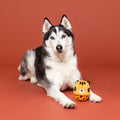 New Puppy Toy 3-Pack