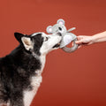 New Puppy Toy 3-Pack