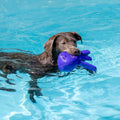 Floating Water Dog Toy 3-Pack