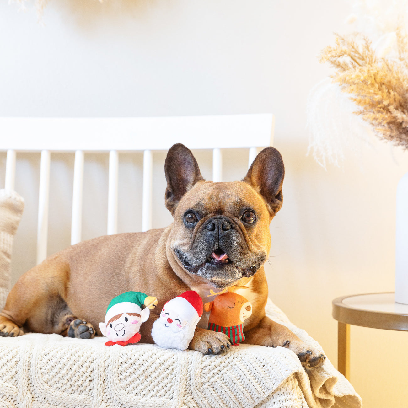 Furry Little Christmas Pals Dog Toy 8-Pack