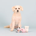 Baby Animals Small Puppy 9-Toy Play Set