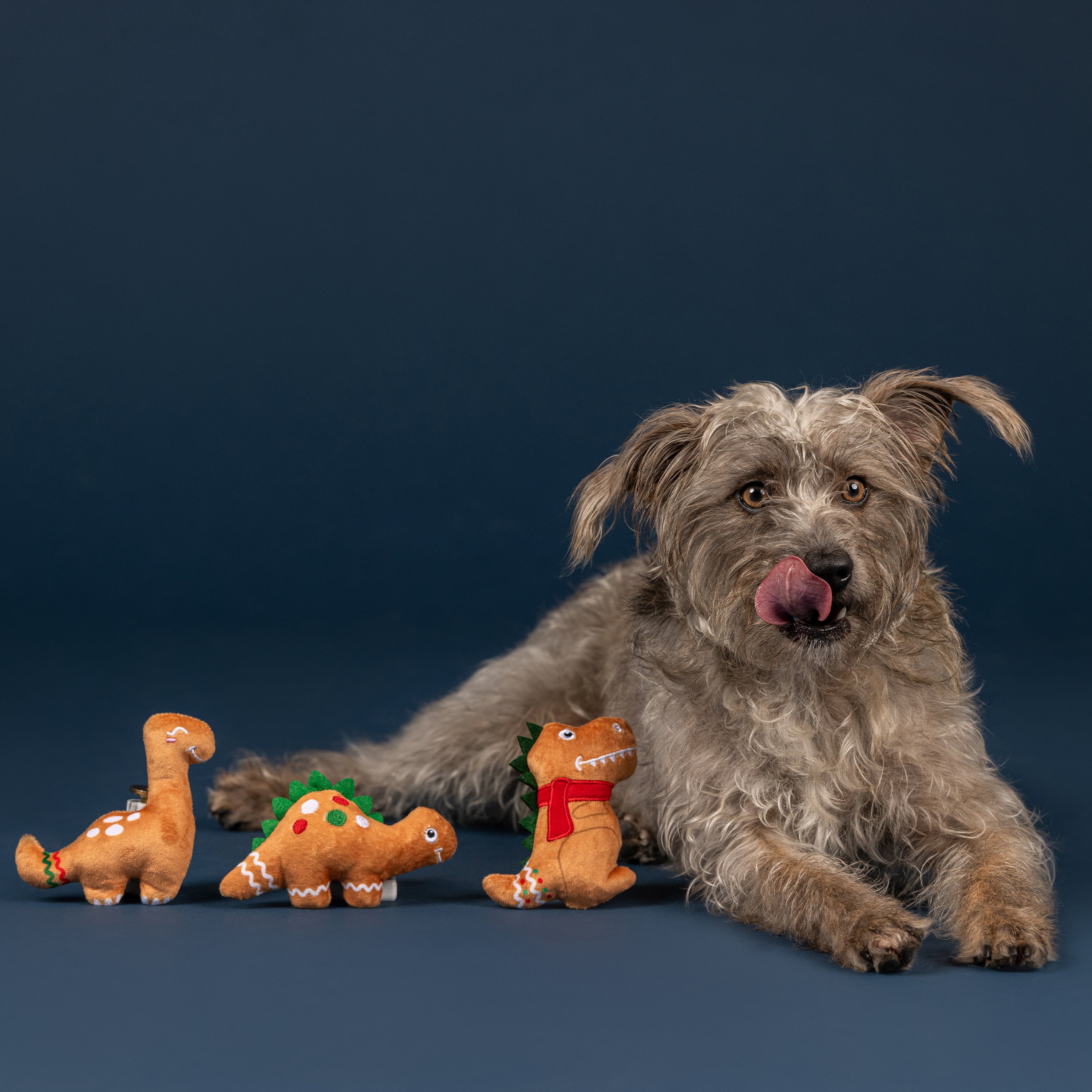 Frosty Friends Mini Winter Dog Toys 8-Pack