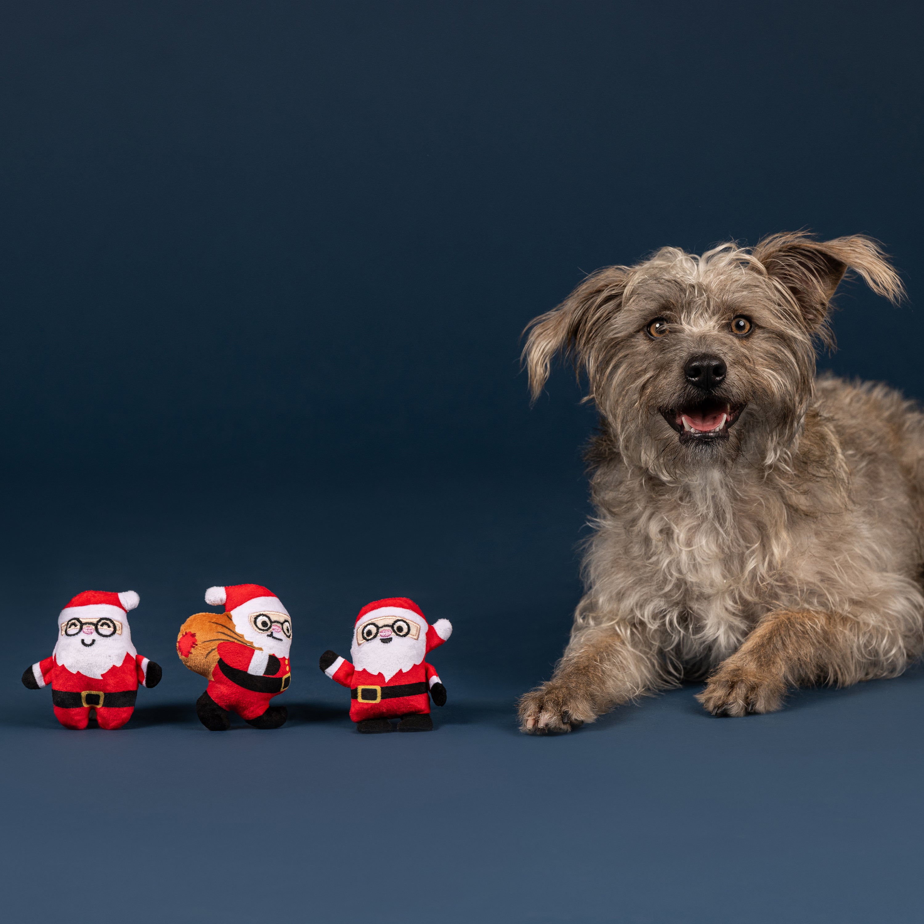 Furry Little Christmas Pals Dog Toy 8-Pack