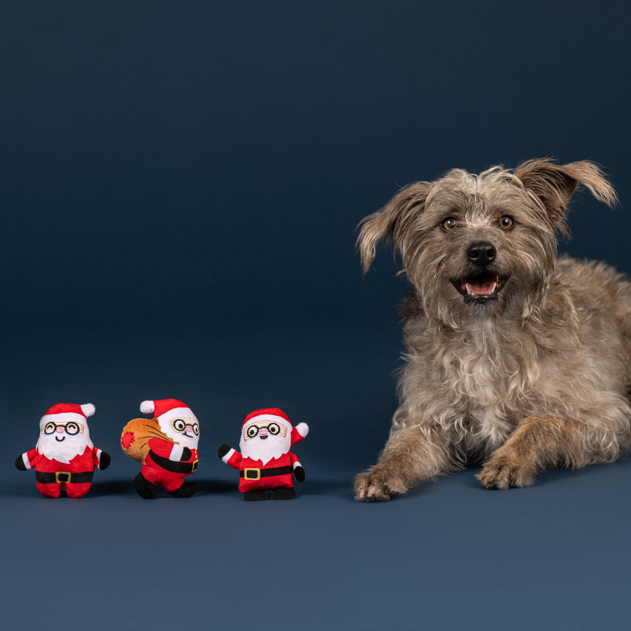 Furry Little Christmas Pals Dog Toy 8-Pack
