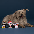 Frosty Friends Mini Winter Dog Toys 8-Pack
