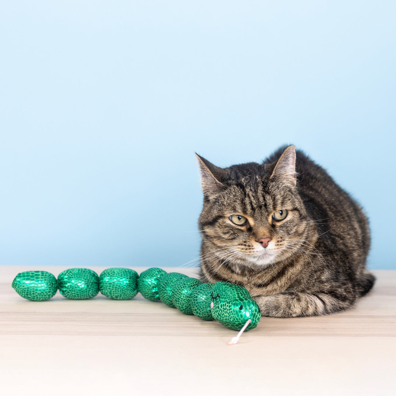 Feline Fiesta & Fun Cat Toy 9-Pack