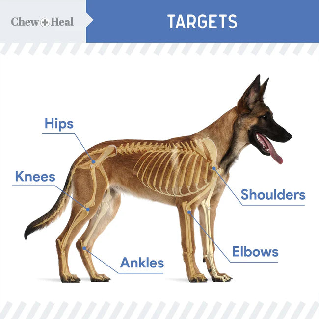 Senior Advanced Hip + Joint Liquid Formula