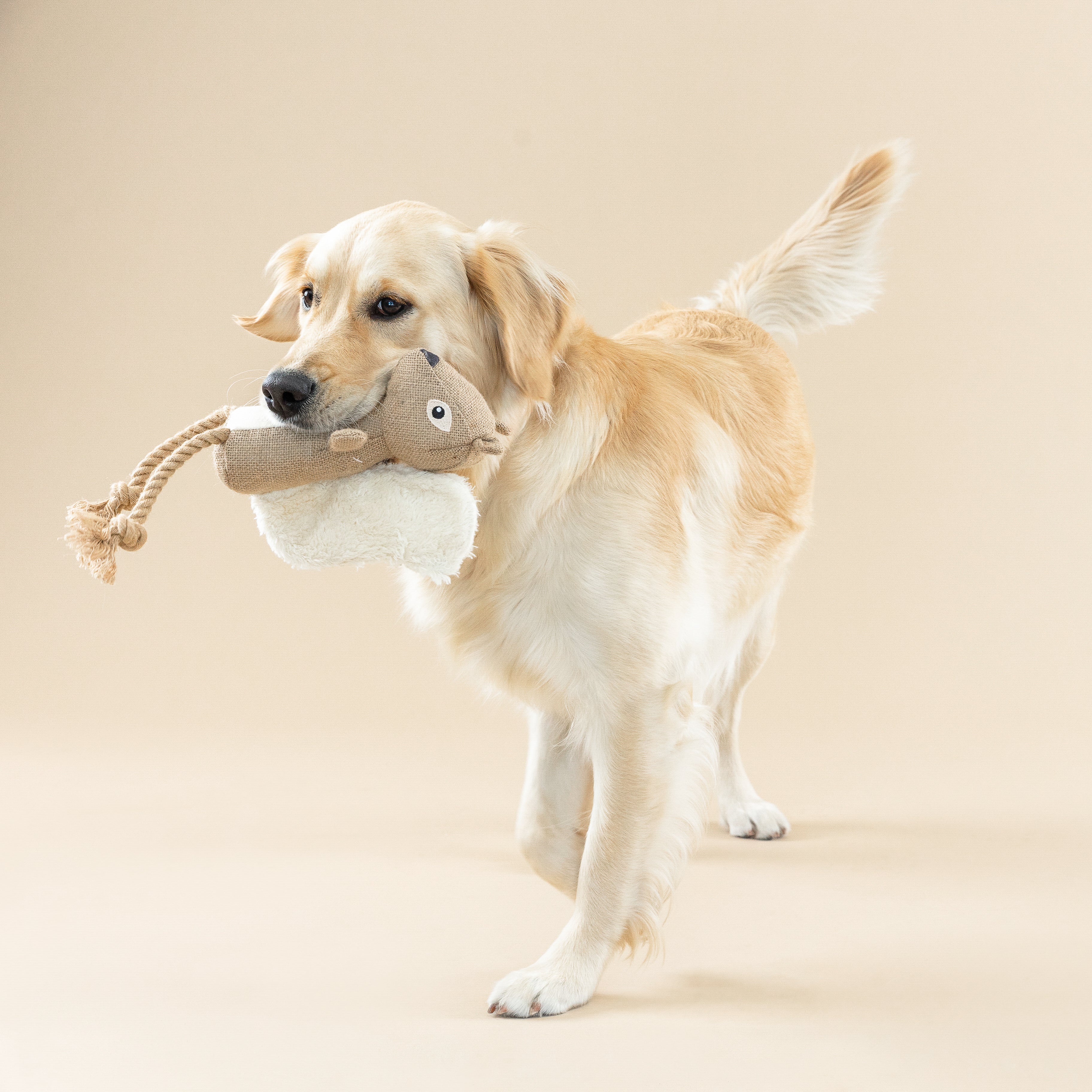 Earth Friendly Dog Toy 2-Pack