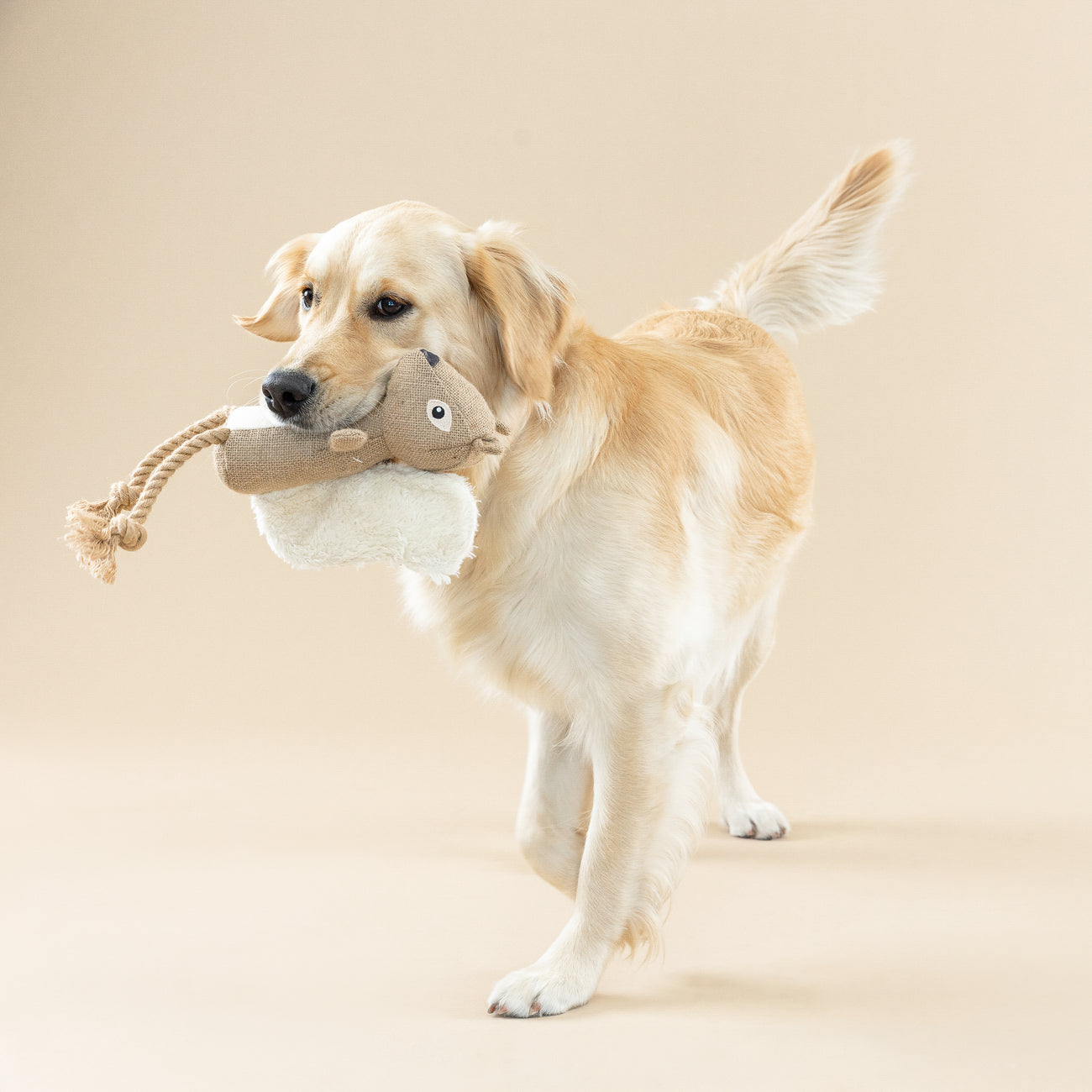 Earth Friendly Dog Toy 2-Pack