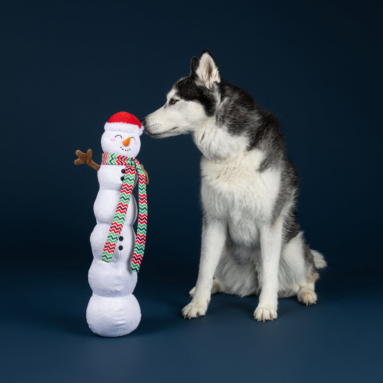 Pawler Express Jumbo Winter Dog Toy 2-Pack