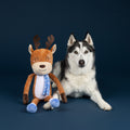 Pawler Express Jumbo Winter Dog Toy 2-Pack