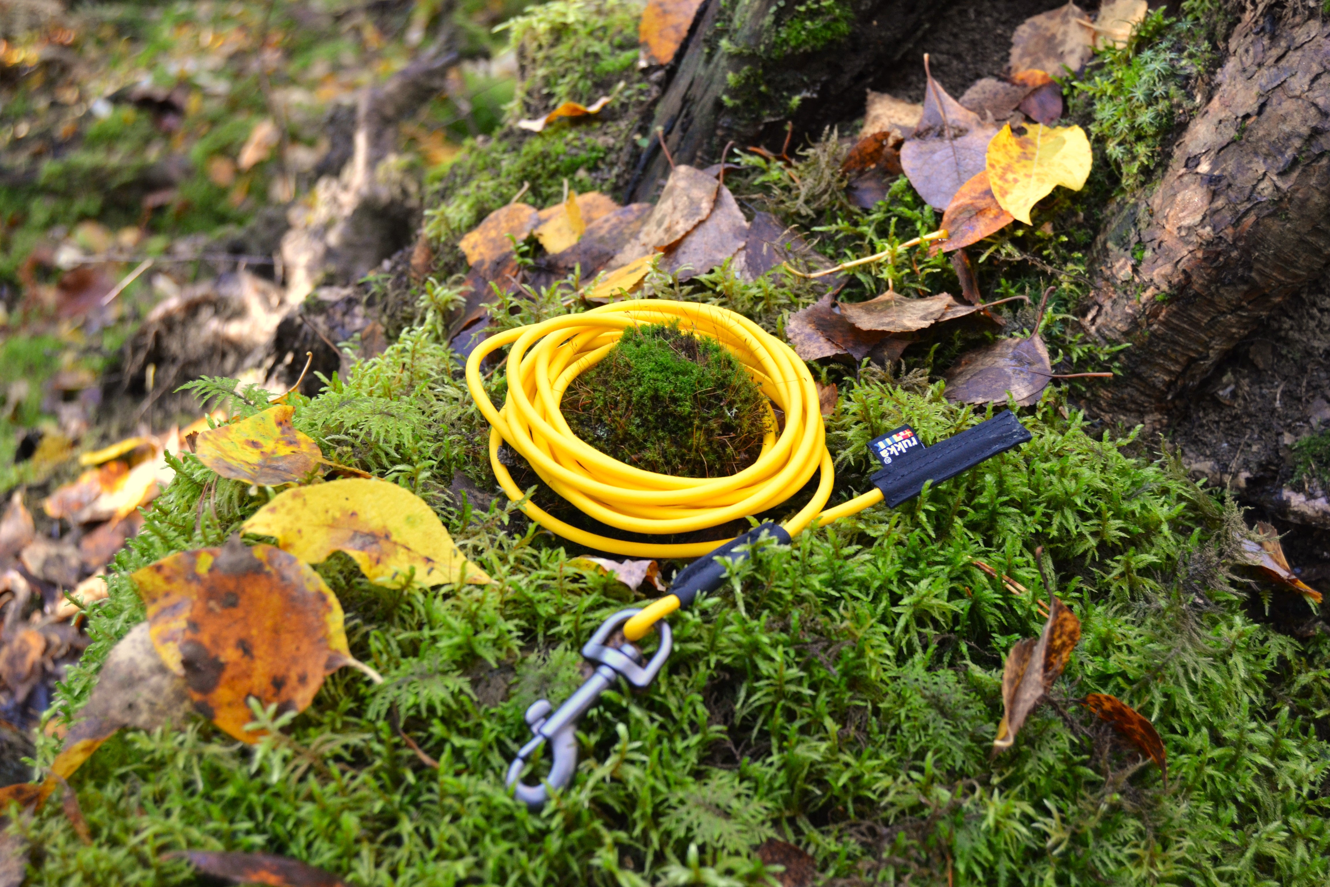 Second Product Image for Biodipro Tracking Leash
