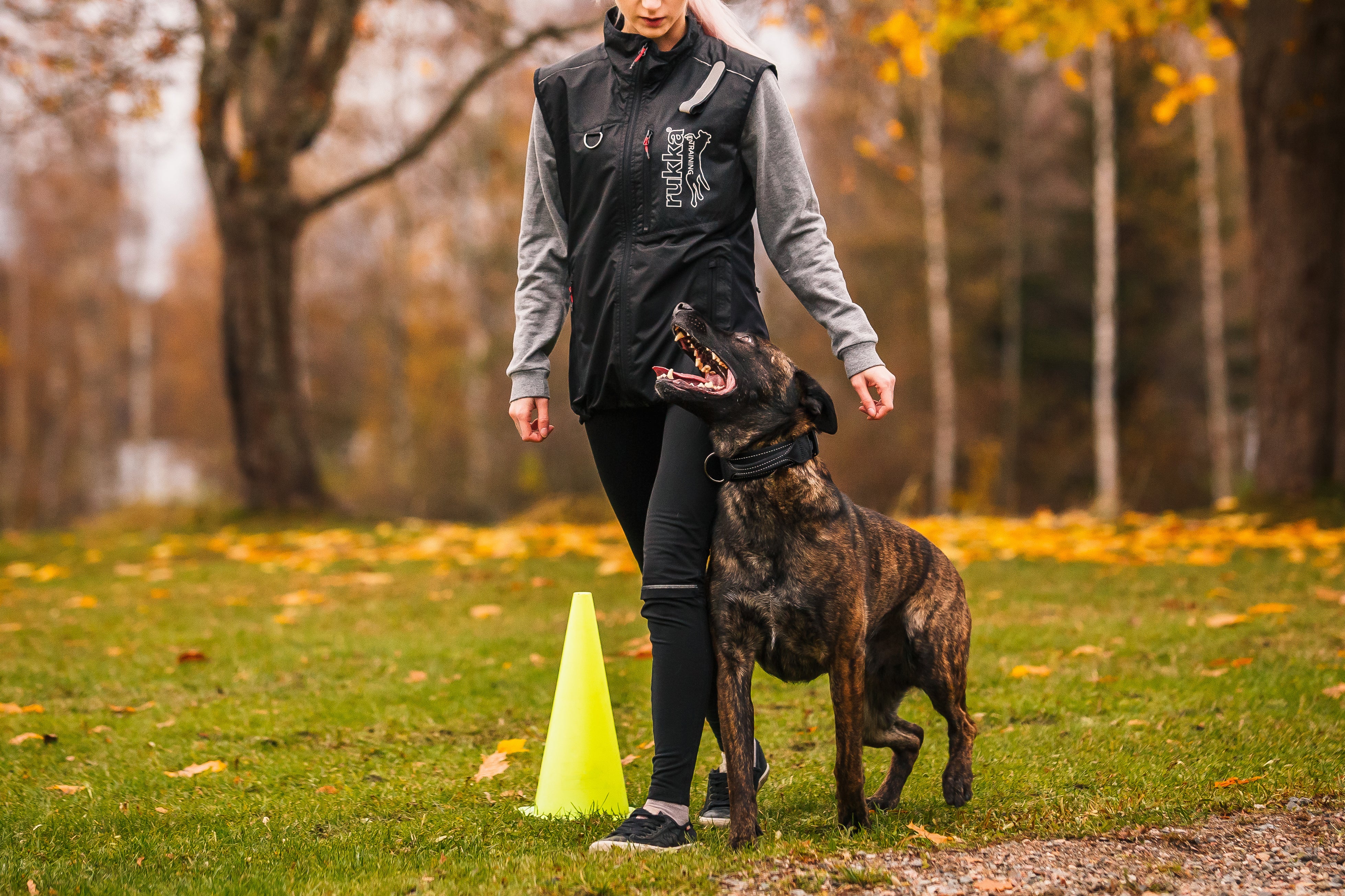 Second Product Image for Training Vest