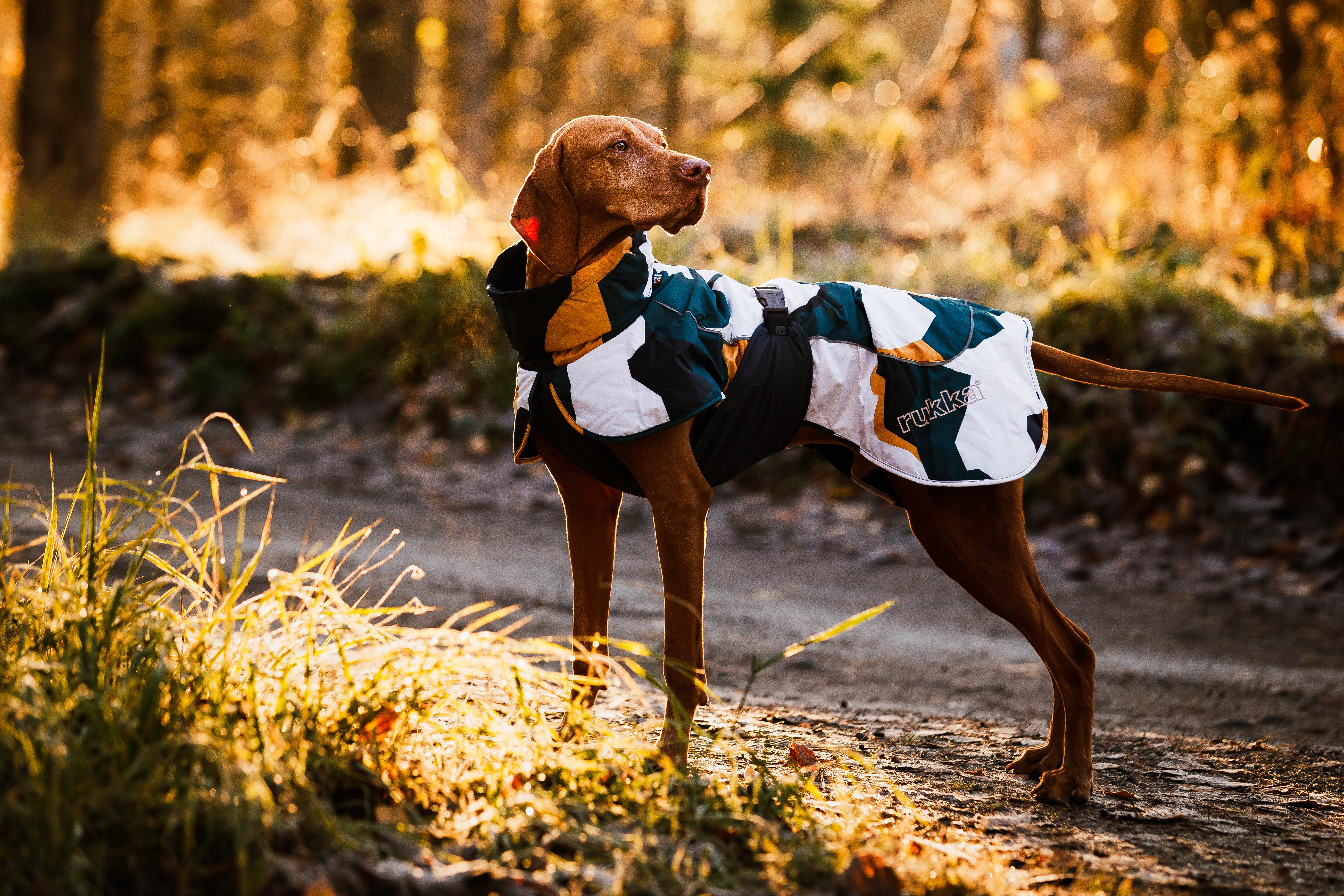 Second Product Image for Stormy Coat