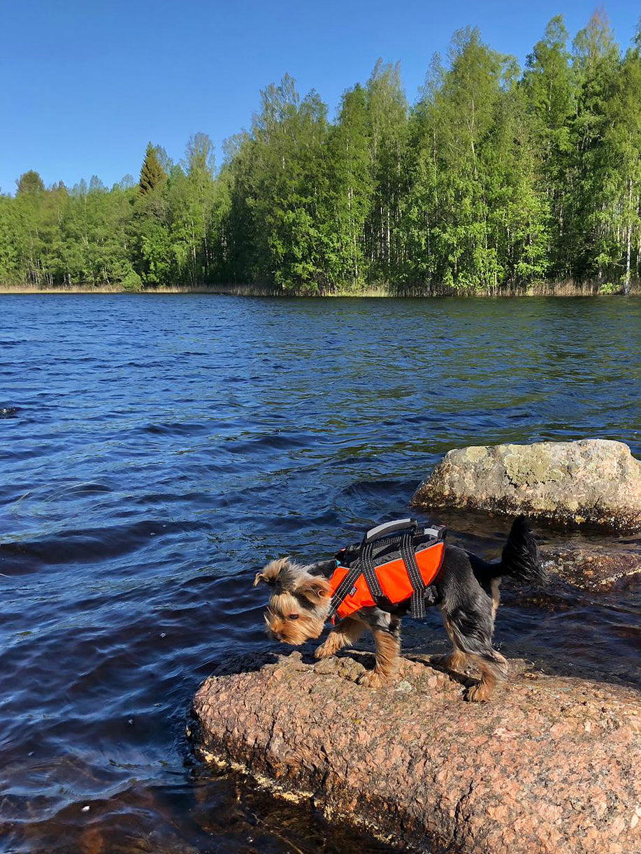 Second Product Image for Safety Life Vest