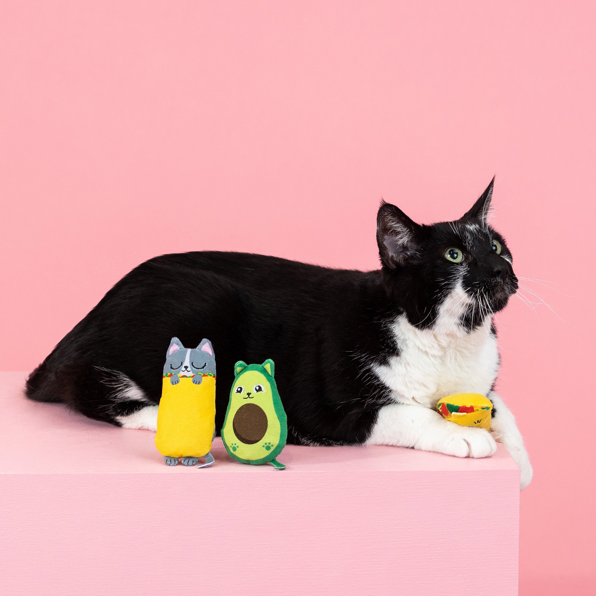Feline Fiesta & Fun Cat Toy 9-Pack