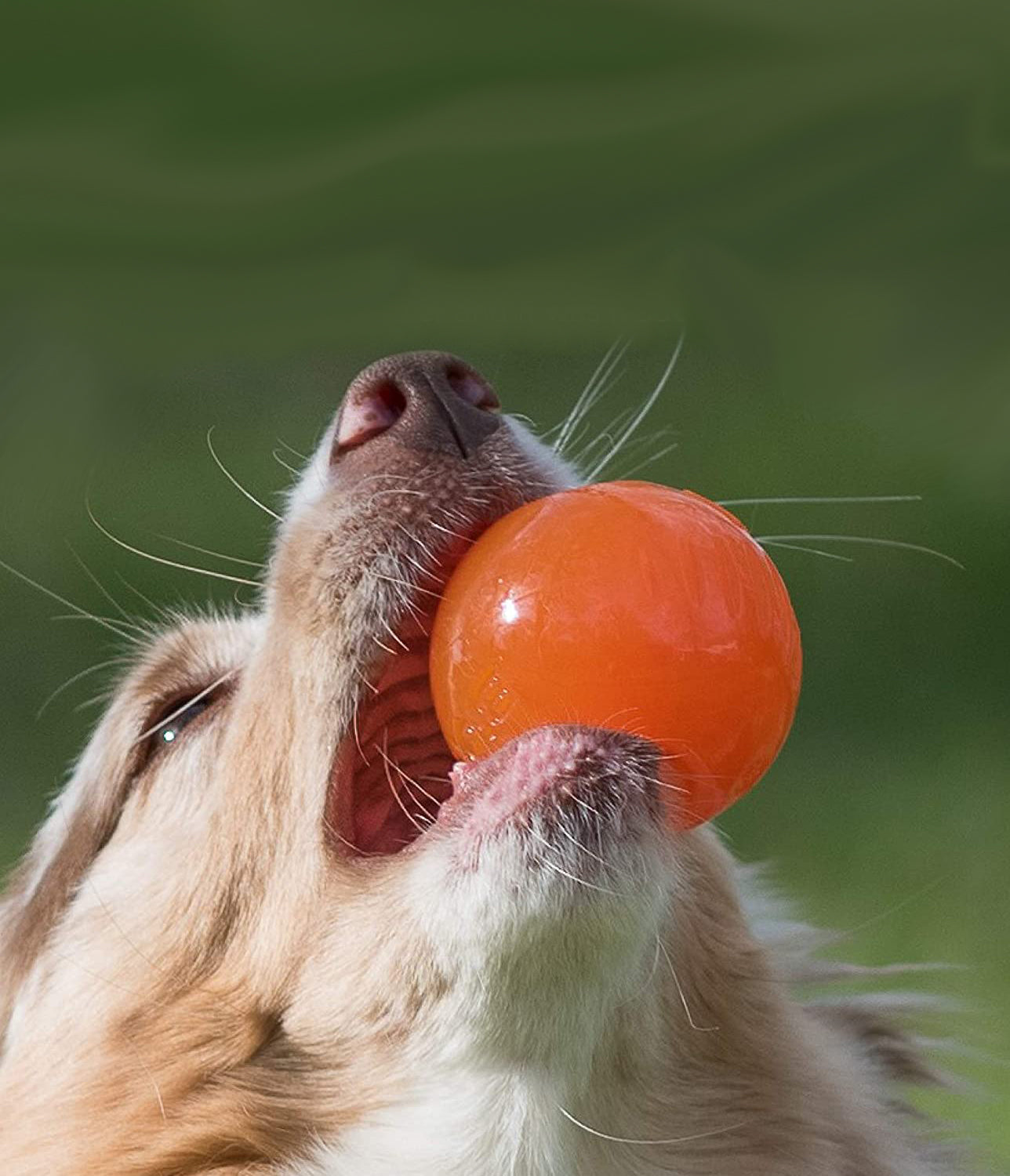 Bionic Small Toys 3-Pack