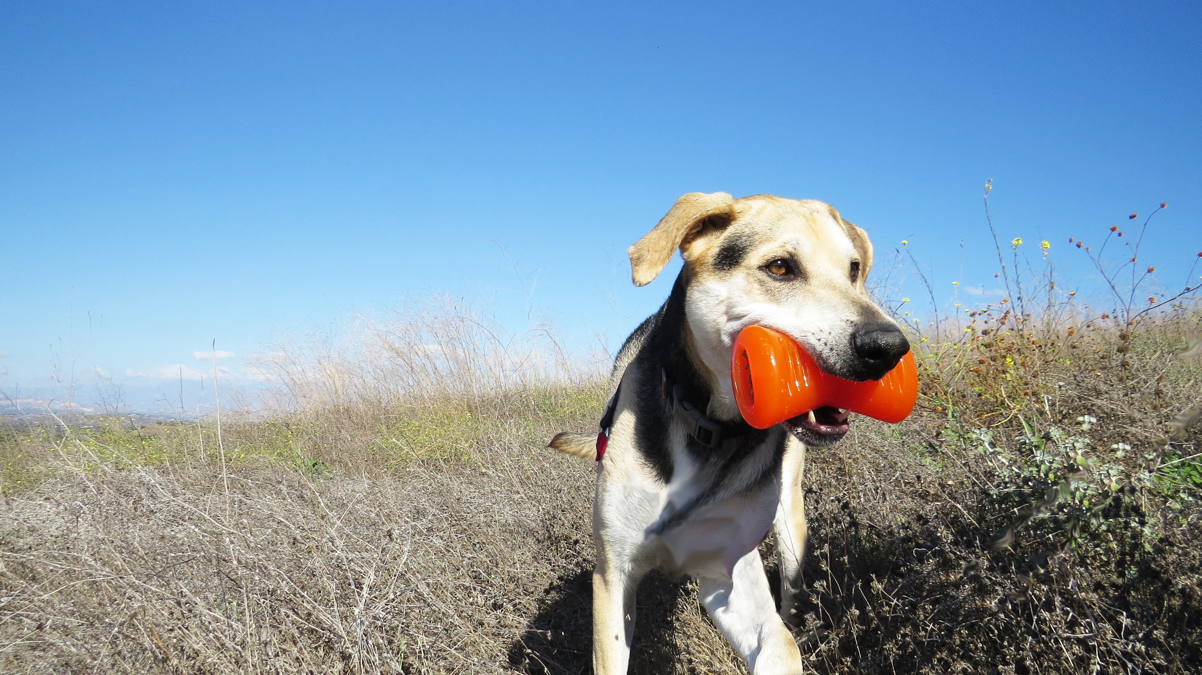 Bionic Small Toys 3-Pack