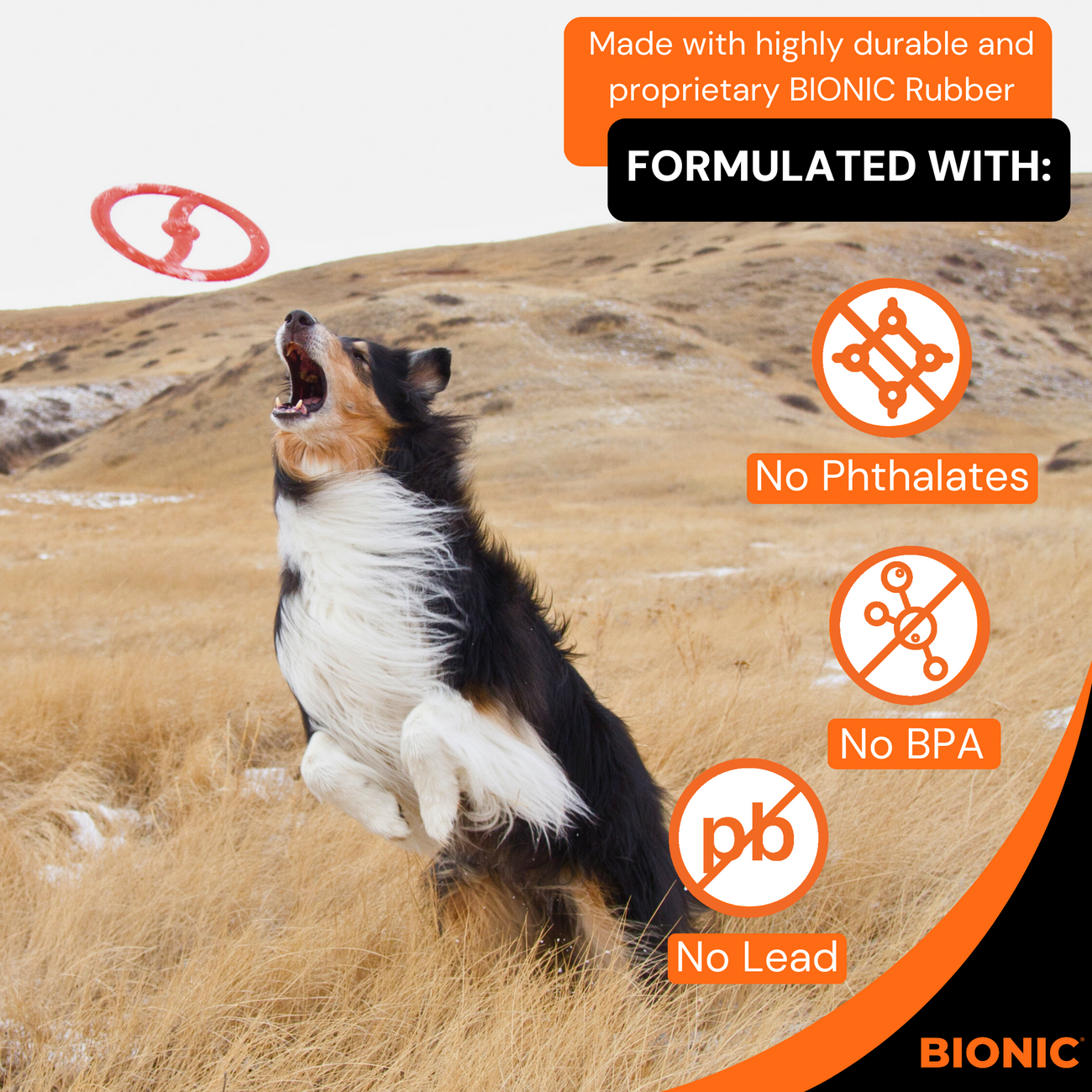 Bionic Medium Toss, Tug, & Fetch Toys 3-Pack