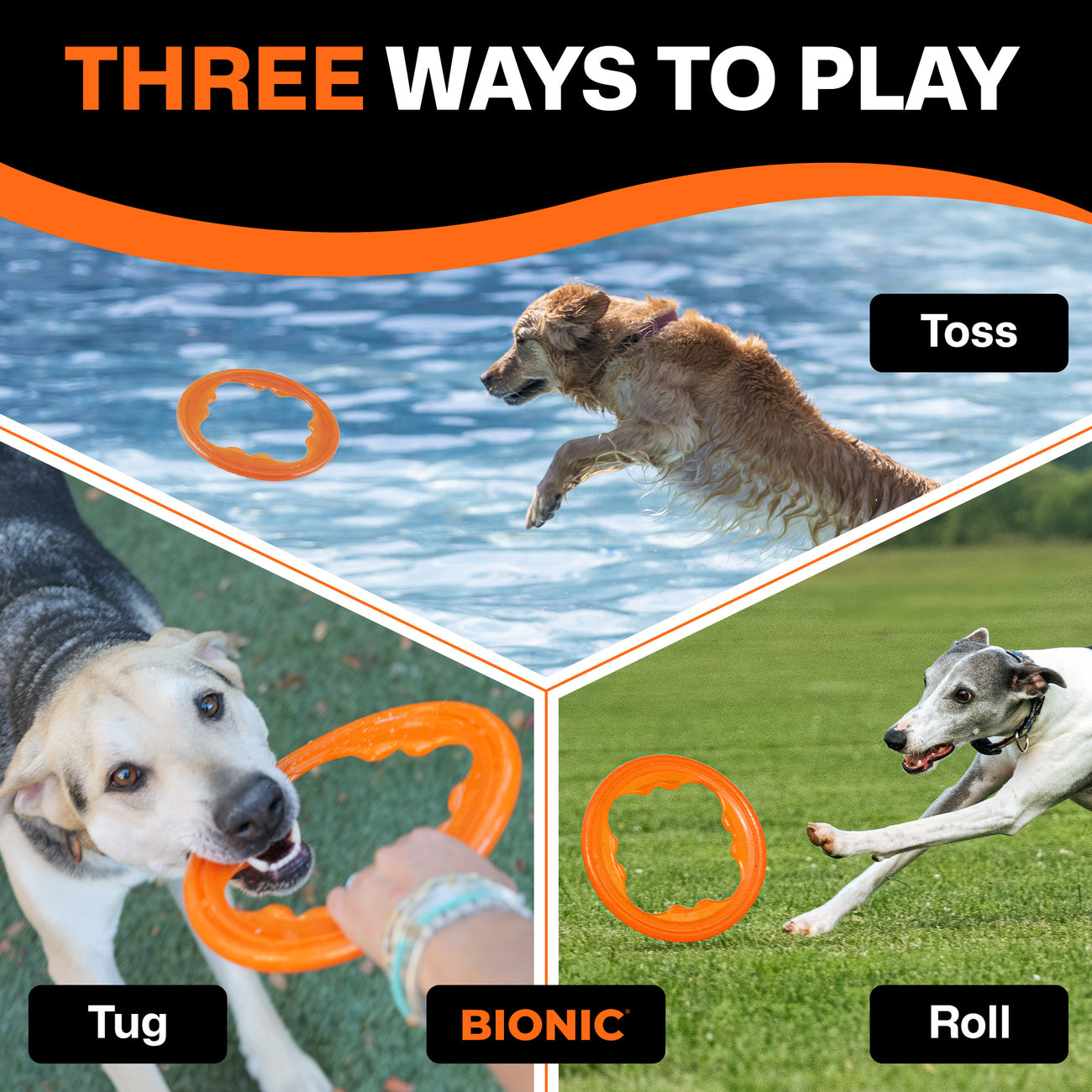 Bionic Toss, Tug & Fetch 3 Pk Large Toys