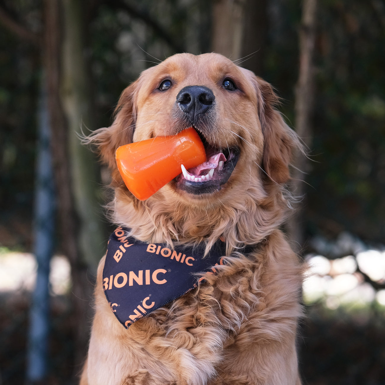 Bionic Treat Stuffers 3 Pk