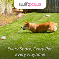 SwiftPaws Chase!