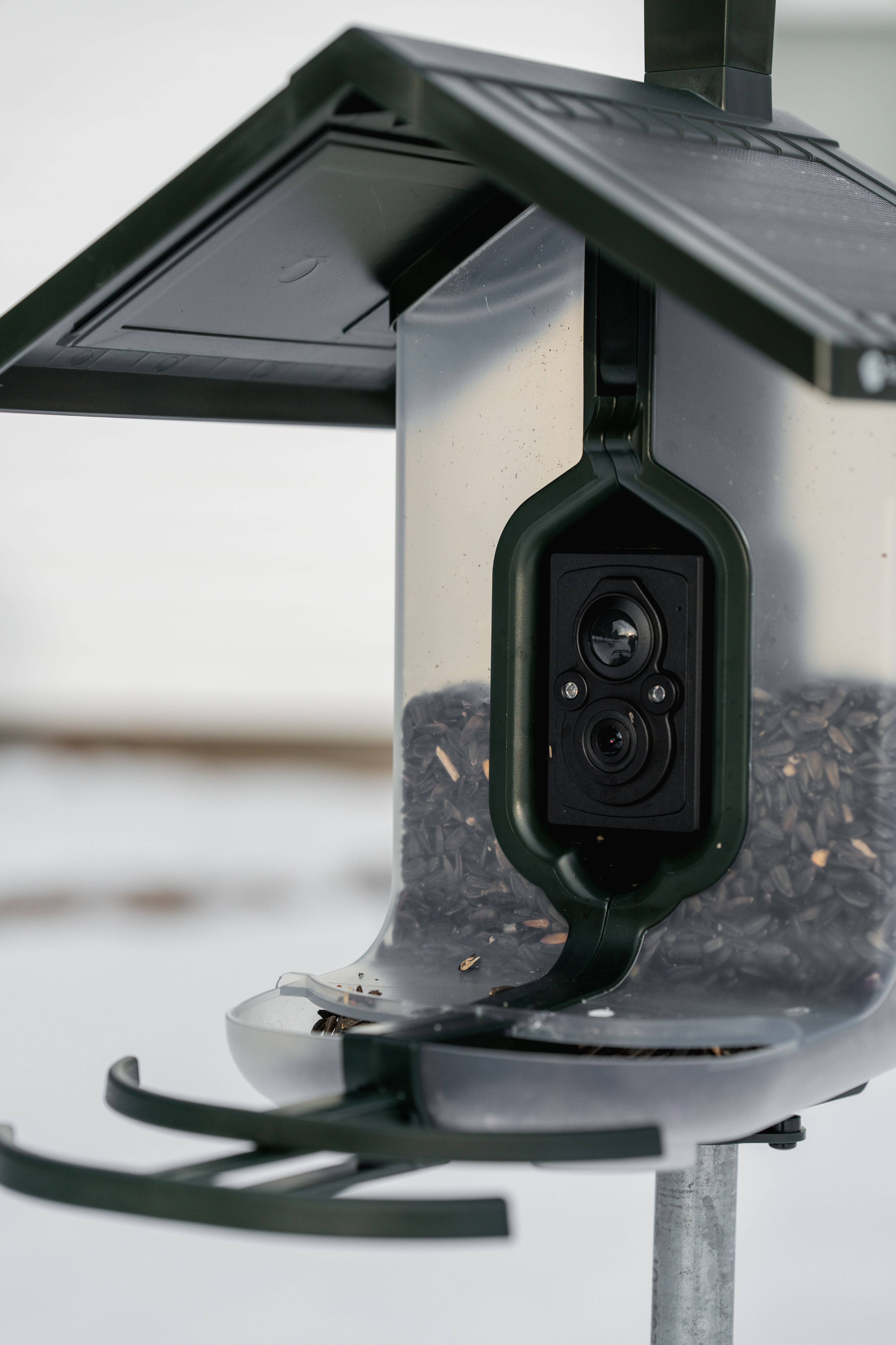 FeatherSnap Feeder Bundle - Seed + Hummingbird