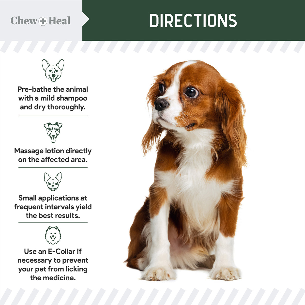 Hydrocortisone Lotion