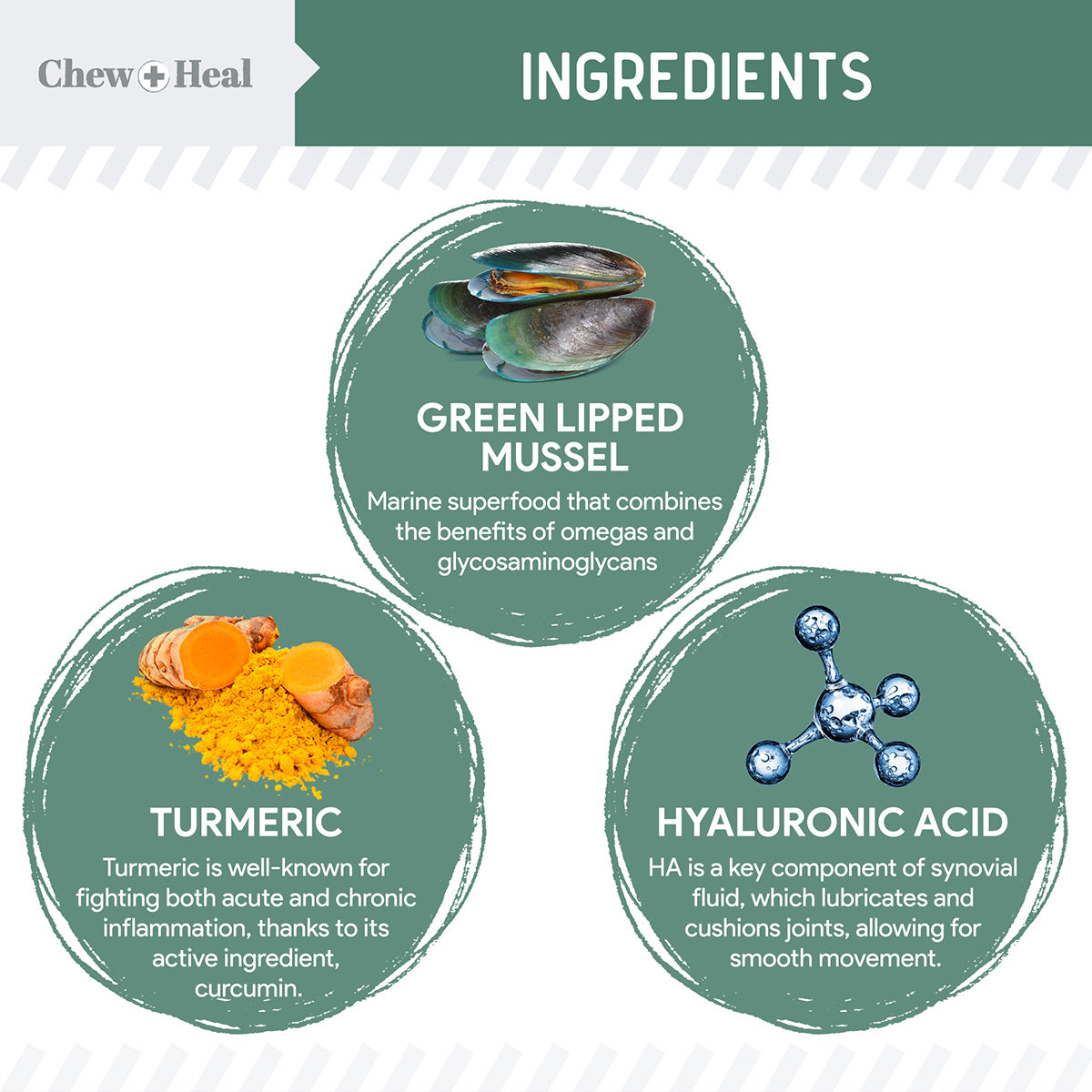 Senior Hip + Joint Soft Chews 2 Pack