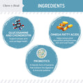 12-In-1 Daily Multivitamin Powder for Dogs 2 Pack