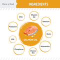Norwegian Salmon Oil
