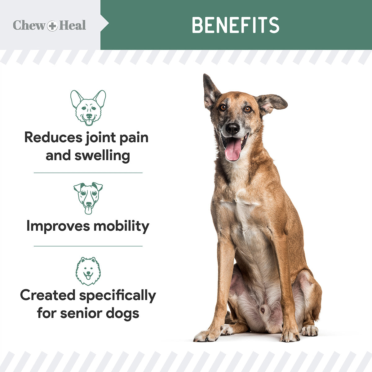 Senior Hip + Joint Soft Chews 2 Pack