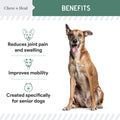 Senior Hip + Joint Soft Chews 2 Pack