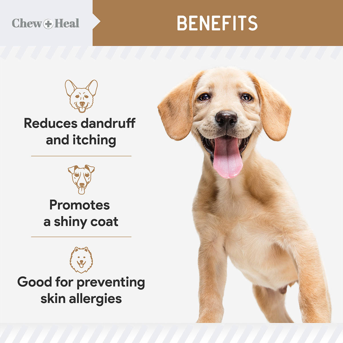 Omega Peanut Butter Skin + Coat Soft Chews