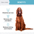 Ear Cleaner 2 Pack