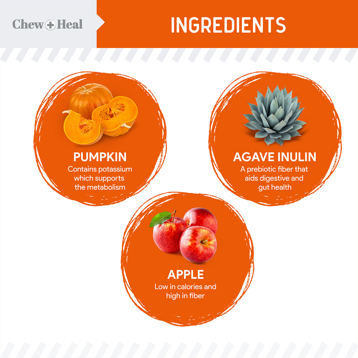 Crunchy Treats with Pumpkin & Prebiotics