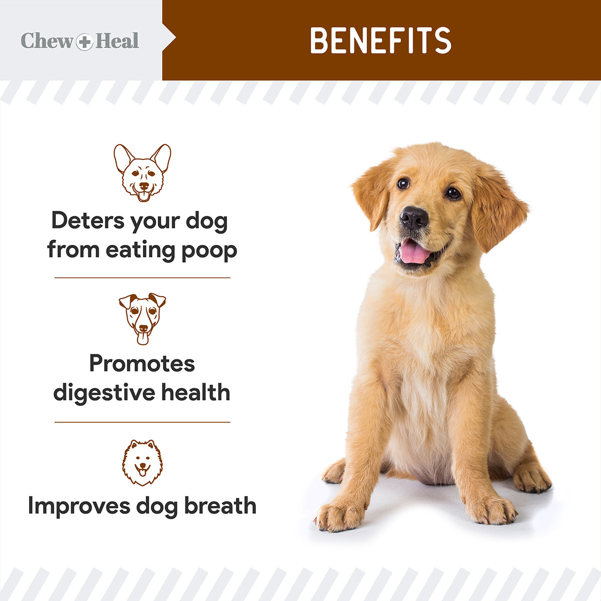 Stop the Poo Coprophagia Soft Chews 2 Pack