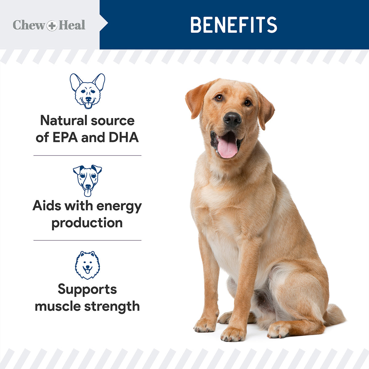 Wild Alaskan Multivitamin Soft Jerky Treats