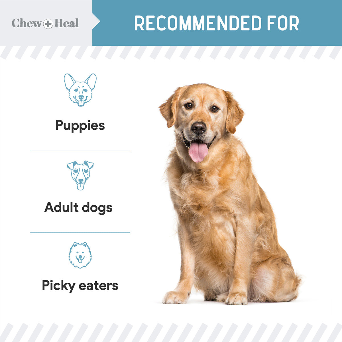 12-In-1 Daily Multivitamin Powder for Dogs 2 Pack